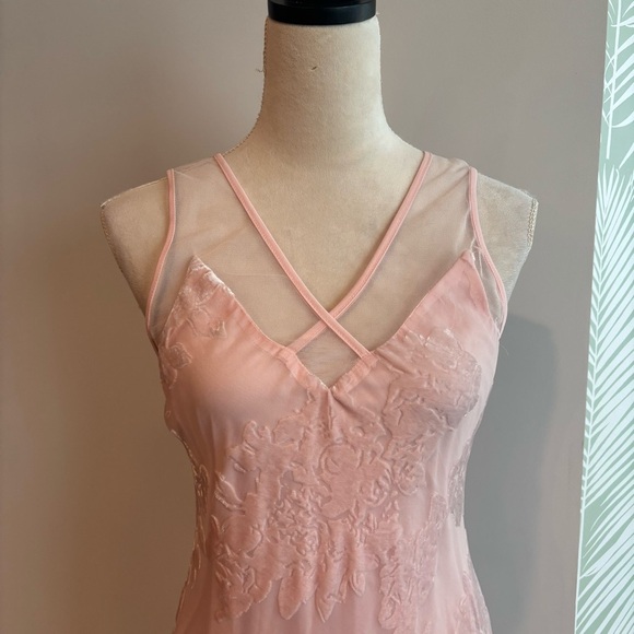 Spirit of Grace Pink Velvet Burnout Dress XS Balletcore Sheer Fairycore Mesh - Picture 4 of 12